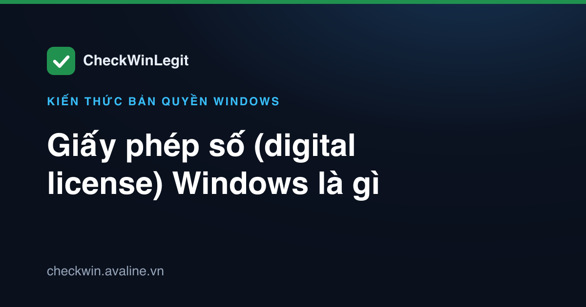 Giấy phép số (digital license) Windows là gì