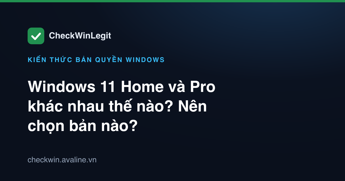 Windows 11 Home và Pro khác nhau thế nào? Nên chọn bản nào?